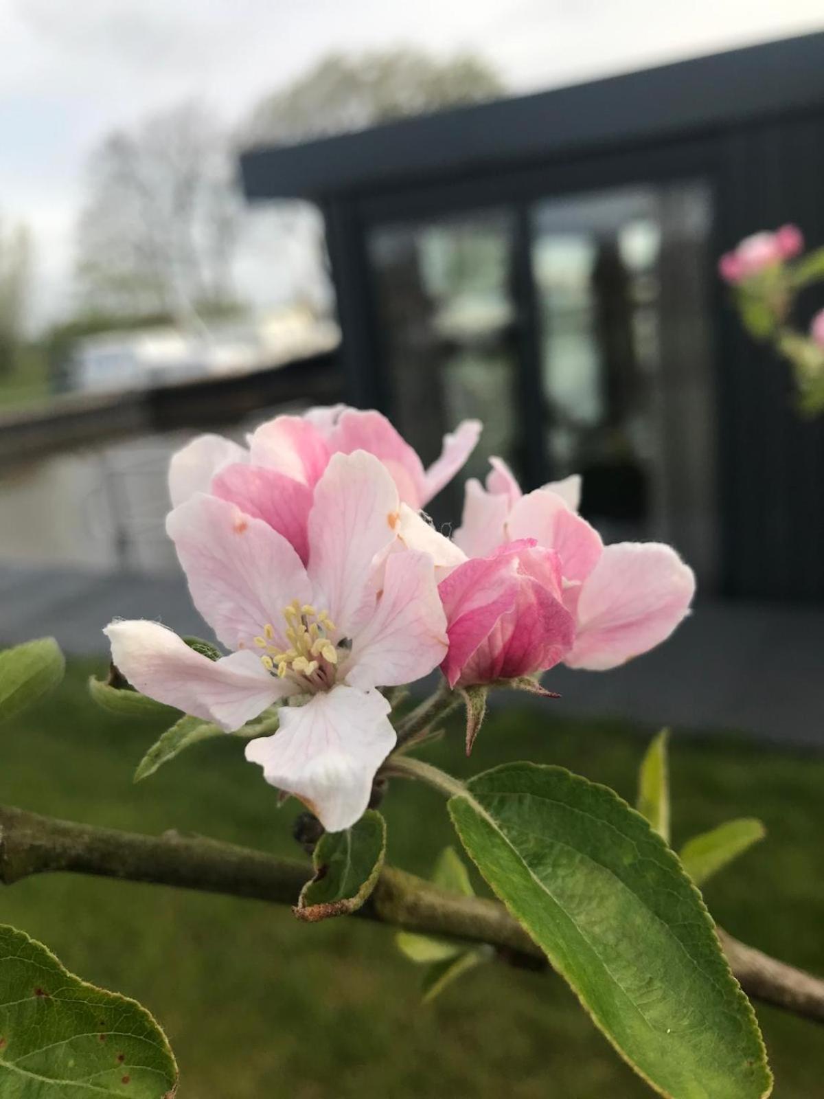 Uniek Overnachten In Een Tiny House Op De Appelhof Wommels ภายนอก รูปภาพ